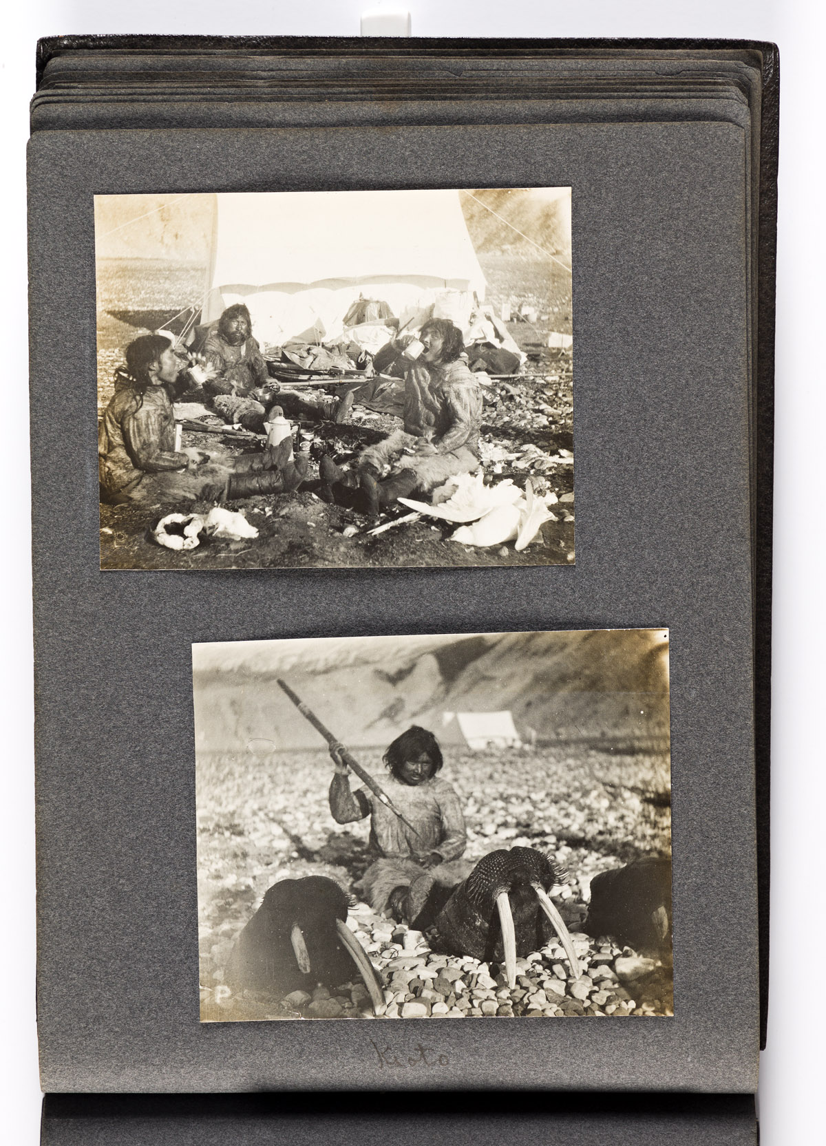 (ARCTIC.) Photograph album from the 1899 Peary Relief Expedition.